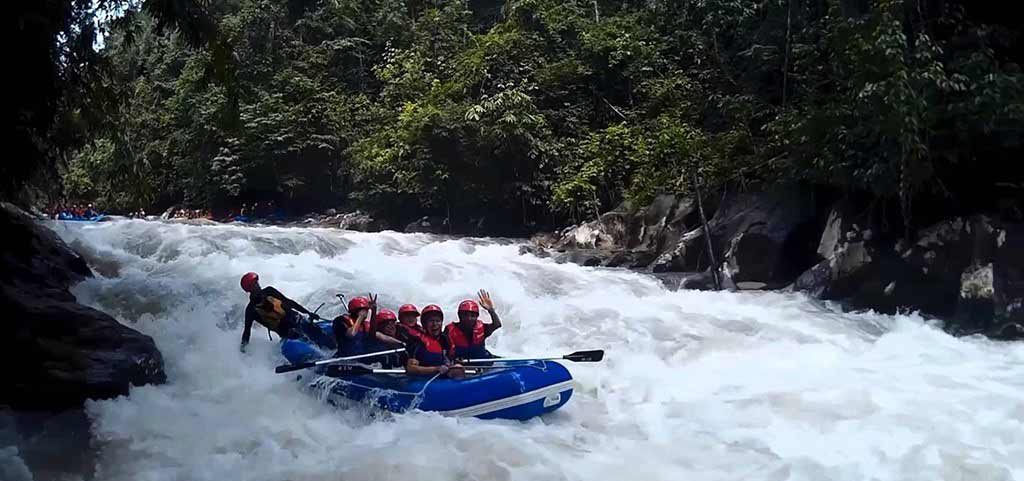 Gopeng Rainforest