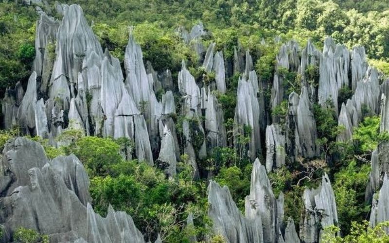 Top Things to Do in Gunung Mulu National Park