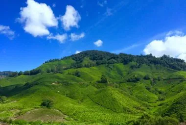 Green Hill Under Blue Sky and White Clouds during Daytime