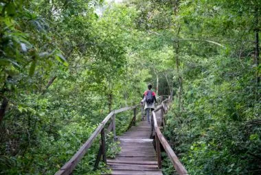 Women backpacker walking on footbridge in Malaysia